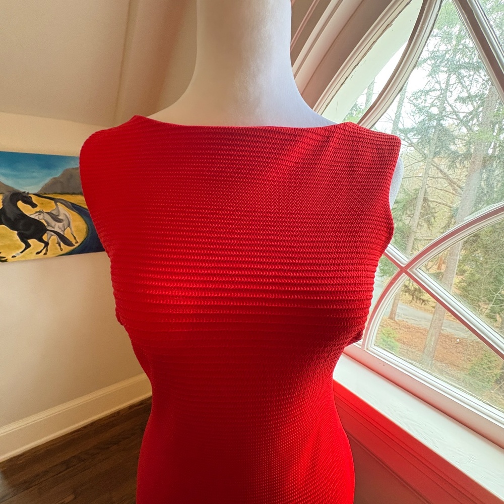 Red Fitted Embossed Dress - Picture 3 of 6